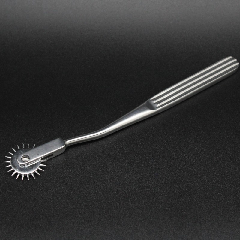 roulette-de-wartenberg-une-roue-dentee.jpg